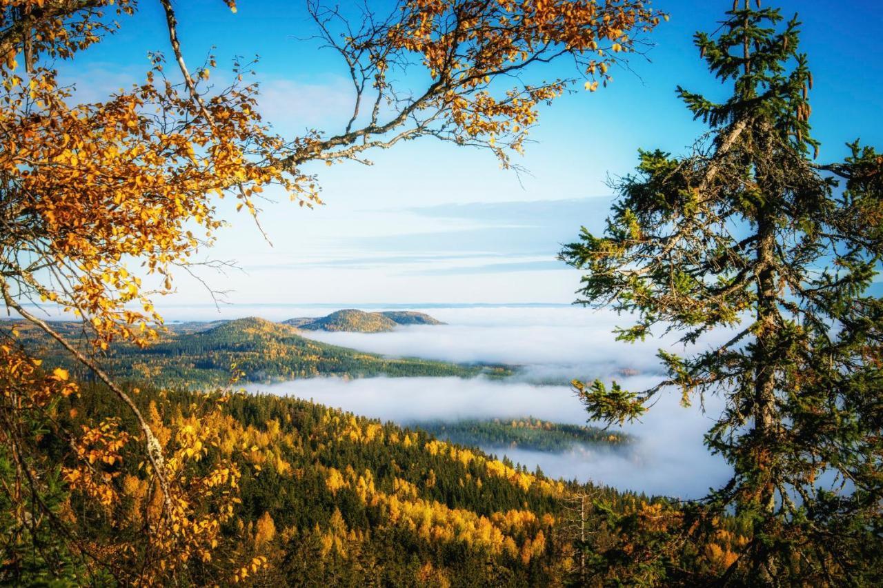 Break Sokos Hotel Koli Kolinkylä Kültér fotó